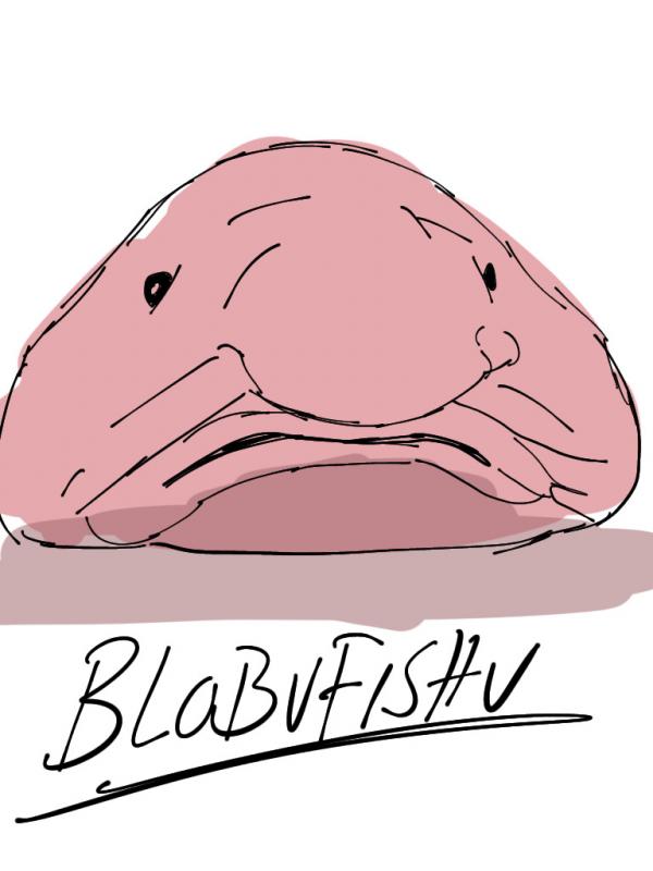 BLOBUFISHU!